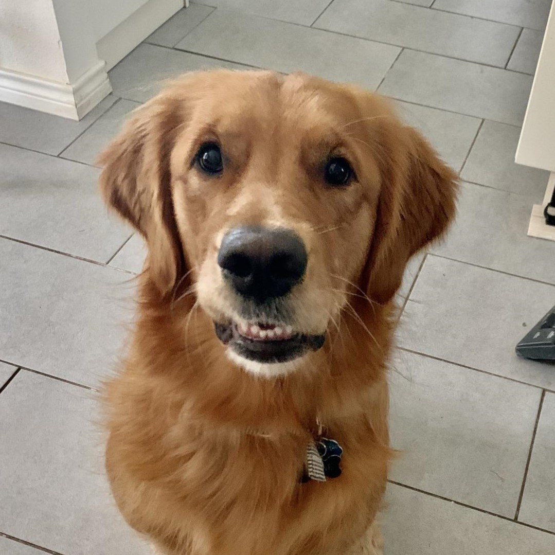 BiologisticSlob profile picture