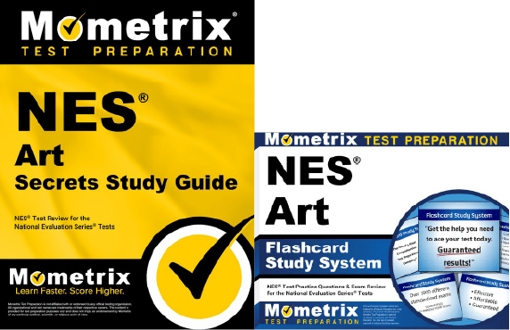 NESStudy Guide