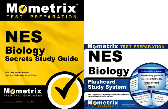 NESStudy Guide