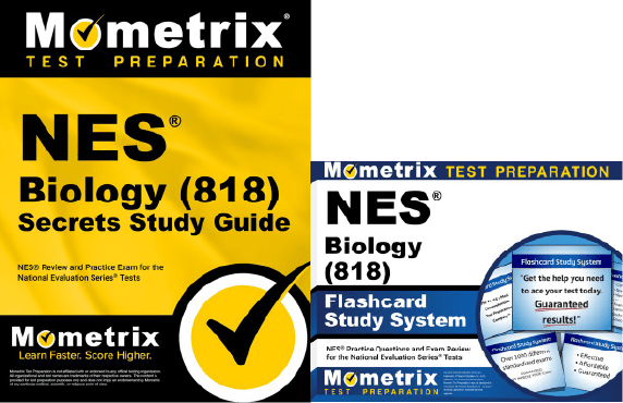 NESStudy Guide