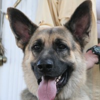 Jody profile picture