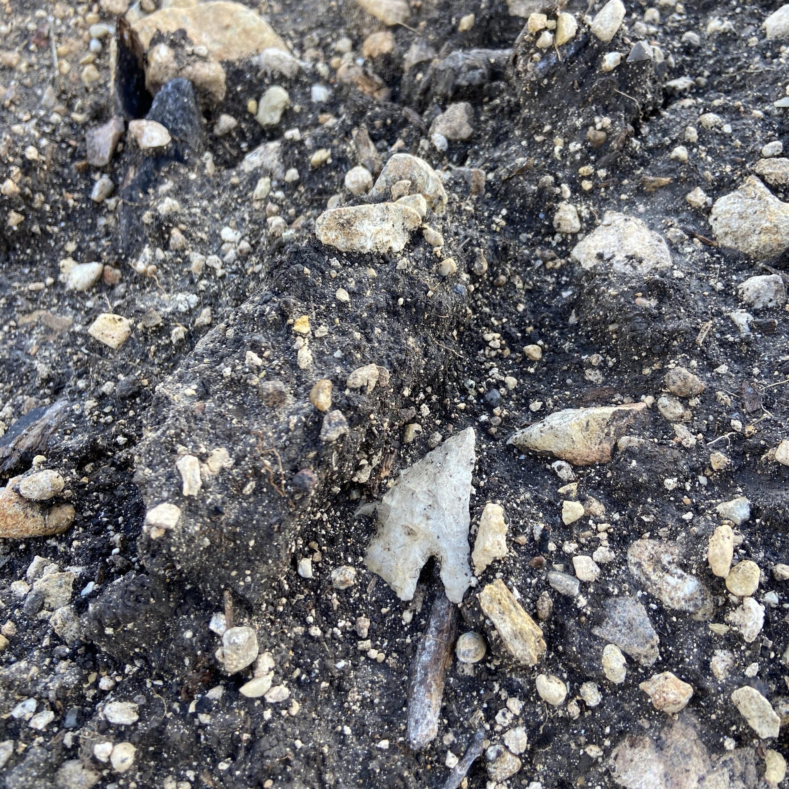 PotentialCool6492 profile picture