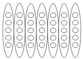 7 ovals, each with 5 circles inside
