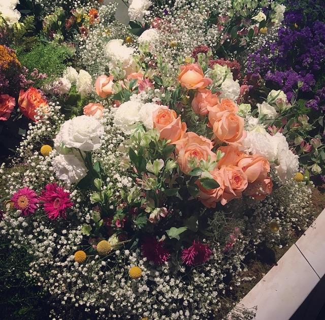 Mommio24 profile picture