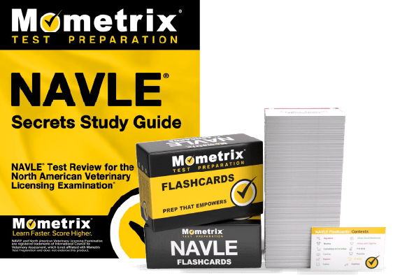 Study Guide